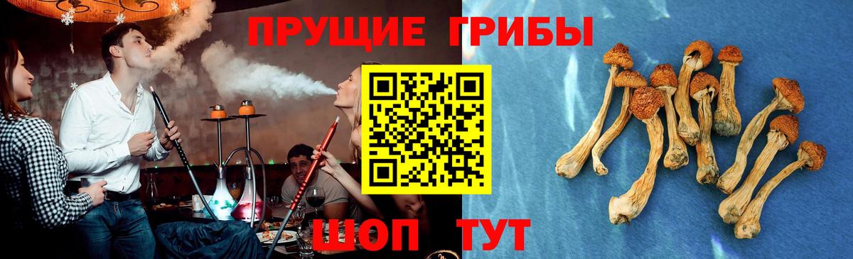 Галлюциногенные грибы MAGIC MUSHROOMS Углич